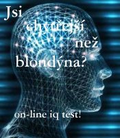 iq-test-vydelej-penize.jpg