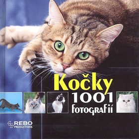 kocky-1001-fotografii-rebo-productions.jpg